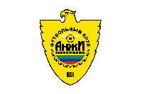 Флаг футбольного клуба Анжи Махачкала 100х150 см