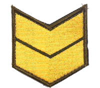 Шеврон по годам службы (годовка) 10 лет службы (выслуги лет), 6х7 см