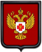 Герб Минздравсоцразвития РФ 35х43 см, печатный, рамка темное дерево Герб Минздравсоцразвития РФ 35х43 см, печатный, рамка темное дерево
