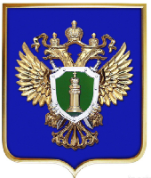 Герб Генеральная прокуратура РФ 42х50 см, барельеф, металлонапыление, рамка под золото Герб Генеральная прокуратура РФ 42х50 см, барельеф, металлонапыление, рамка под золото