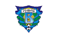 Флаг футбольного клуба Волга Ульяновск 100х150 см